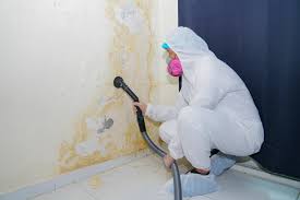 Dothan, AL Mold Removal Services Company